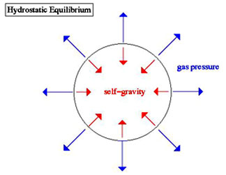 Cartoon showing how "hydrostatic equilibrium" is attained during a star's fuel burning while on the Main Sequence, in which the outward pressure vectors associated with radiation released by the nuclear reactions is just balanced against the inward force of gravity as the star accumulates mass and adjusts by contraction.